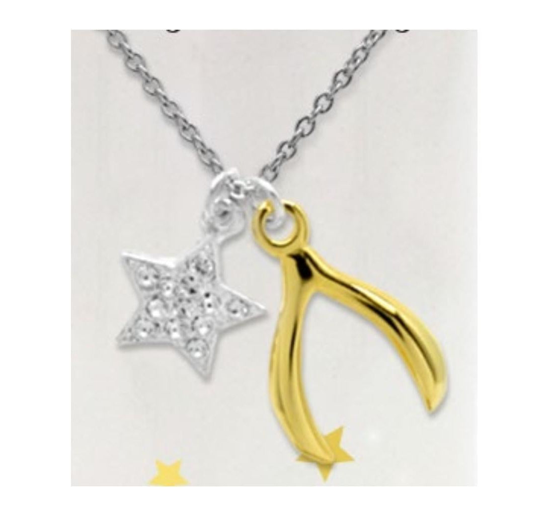 BIRTHDAY NECKLACE (WISHBONE)