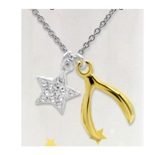 BIRTHDAY NECKLACE (WISHBONE)