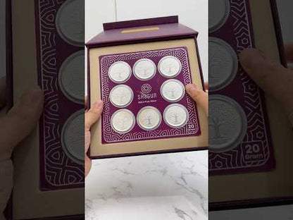 SHAGUN COINS